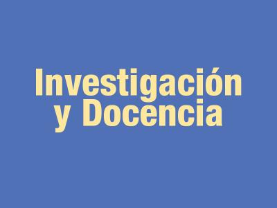 Investigación y Docencia