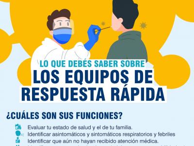 Funciones de los ERR