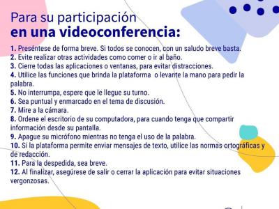 Participación en videoconferencia